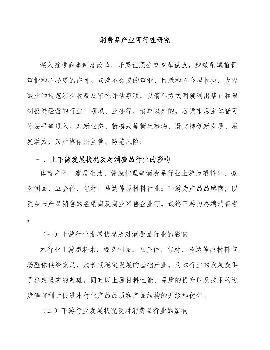 消费品产业可行性研究_第1页