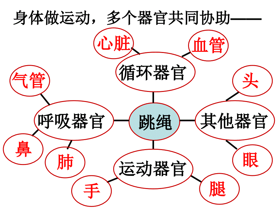 教科版四年级上册四单元7课教案_第2页