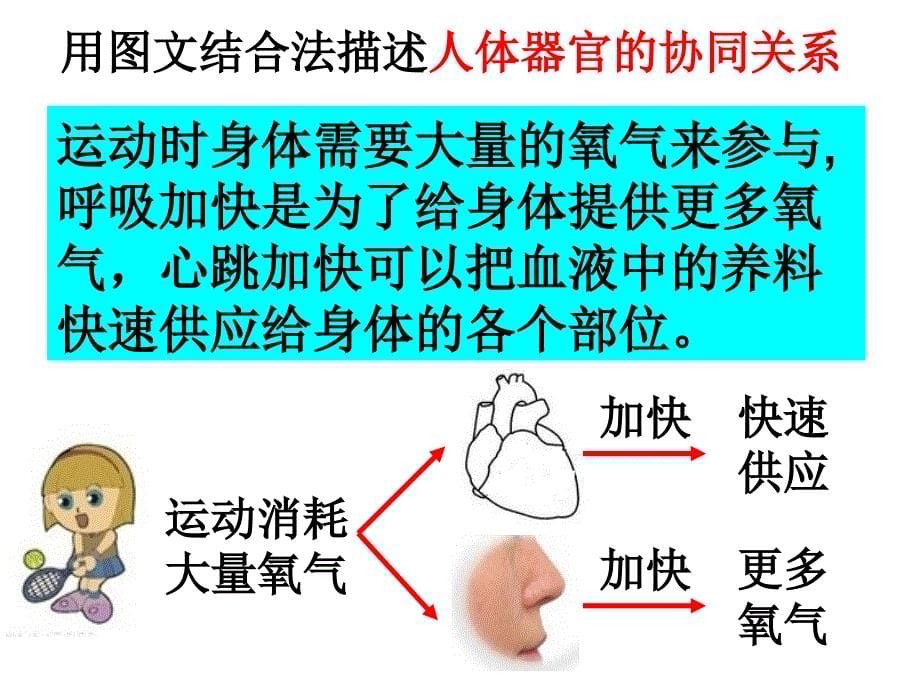 教科版四年级上册四单元7课教案_第5页