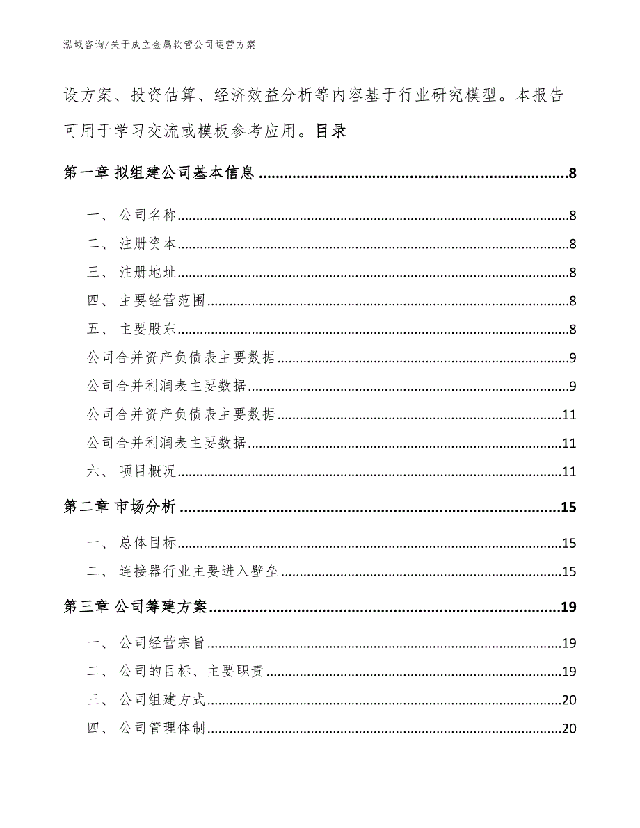 关于成立金属软管公司运营方案（模板）_第3页