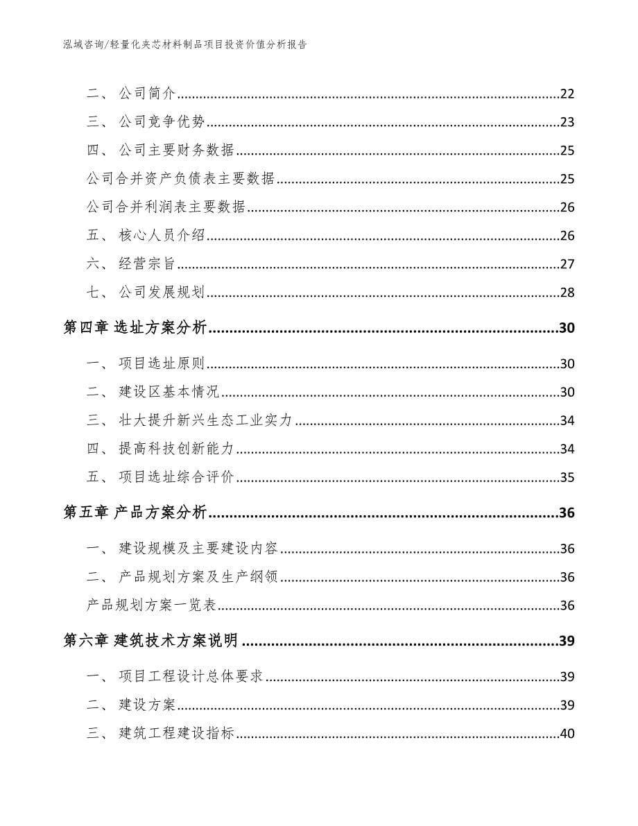 轻量化夹芯材料制品项目投资价值分析报告模板_第5页