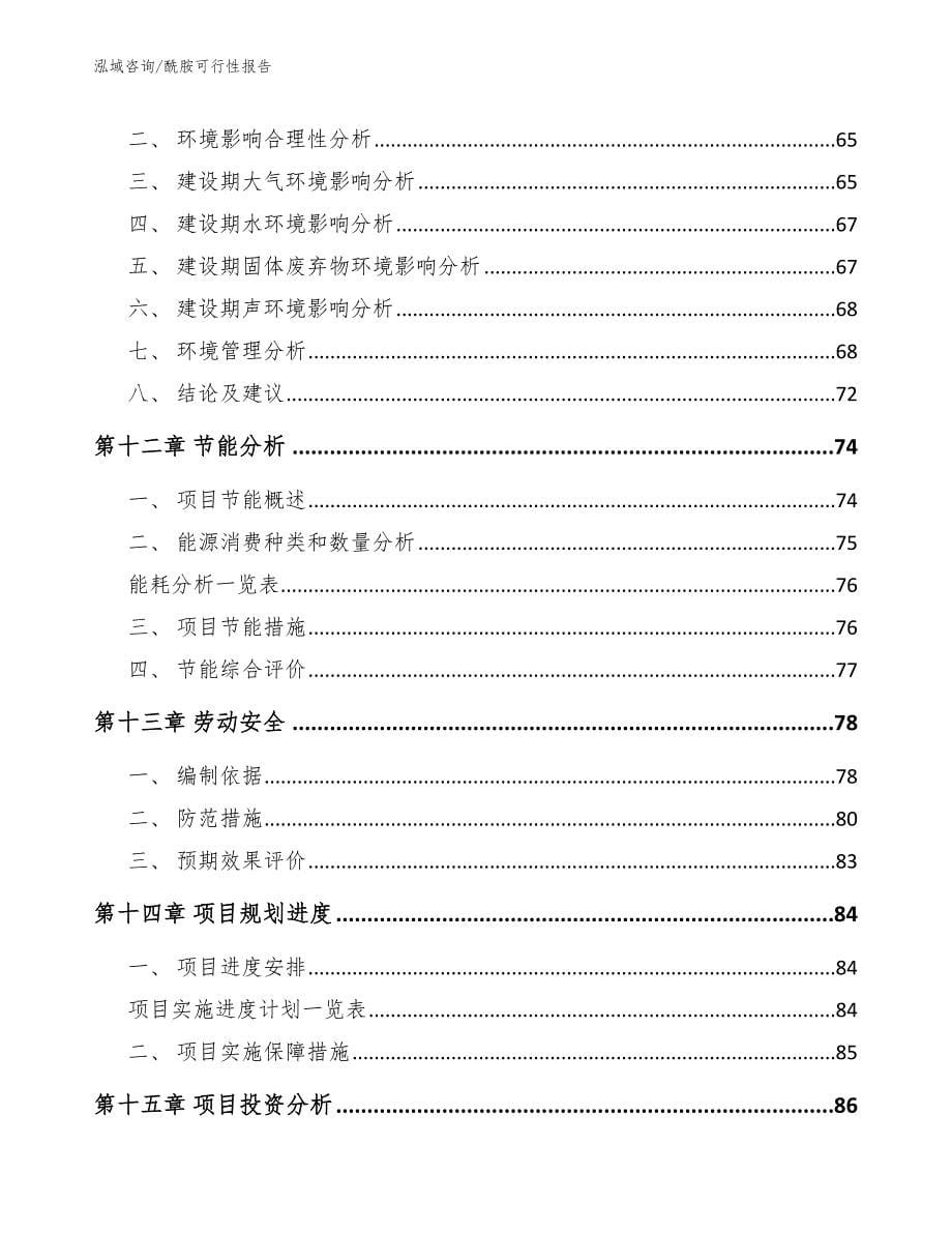 酰胺可行性报告_第5页