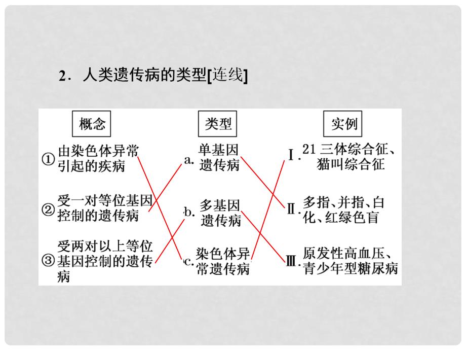 高中生物 第5章 基因突变及其他变异 第3节 人类遗传病课件 新人教版必修2_第3页