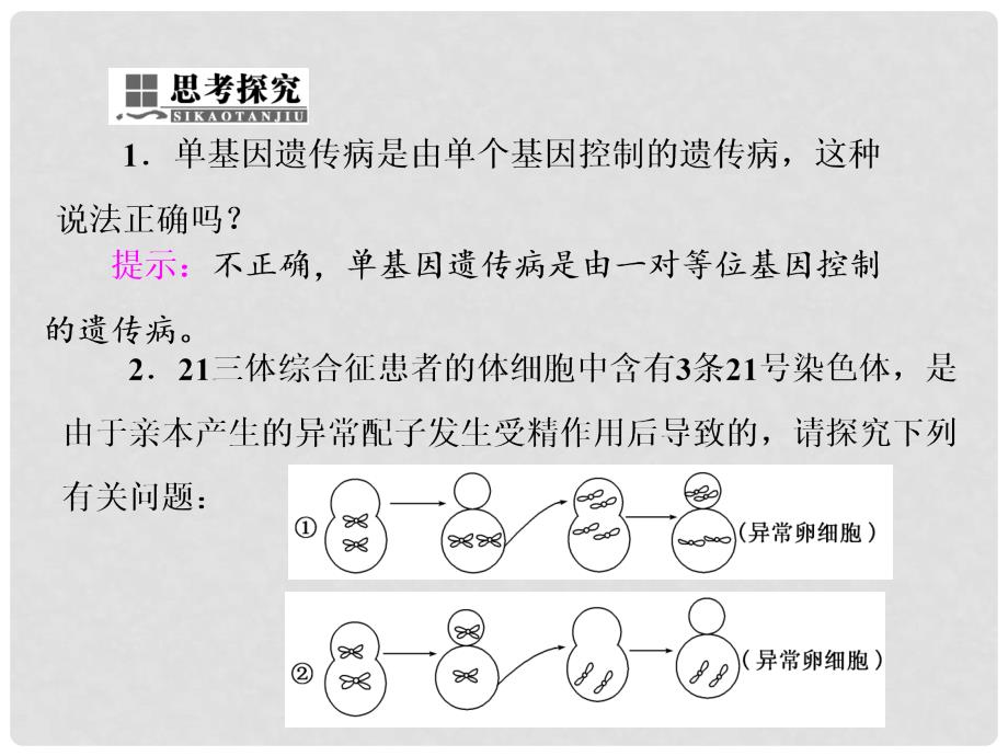 高中生物 第5章 基因突变及其他变异 第3节 人类遗传病课件 新人教版必修2_第4页