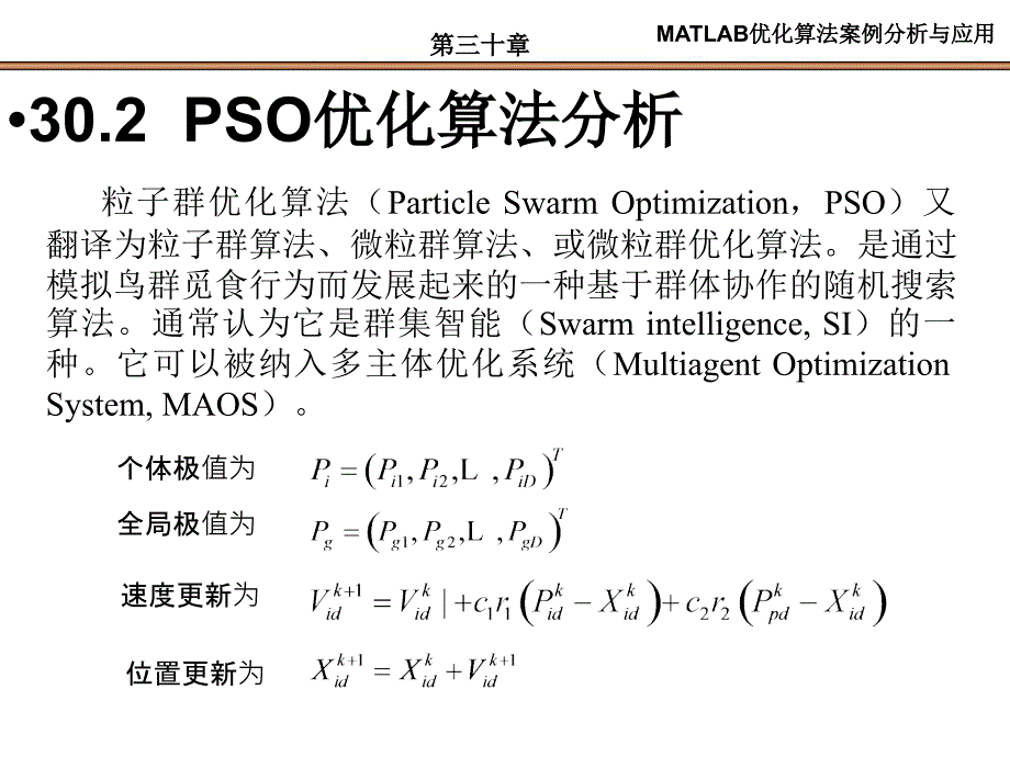 第30章基于PSO的聚类算法_第4页