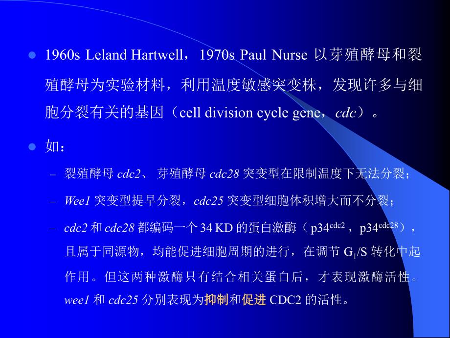 细胞增殖及其调控3_第2页