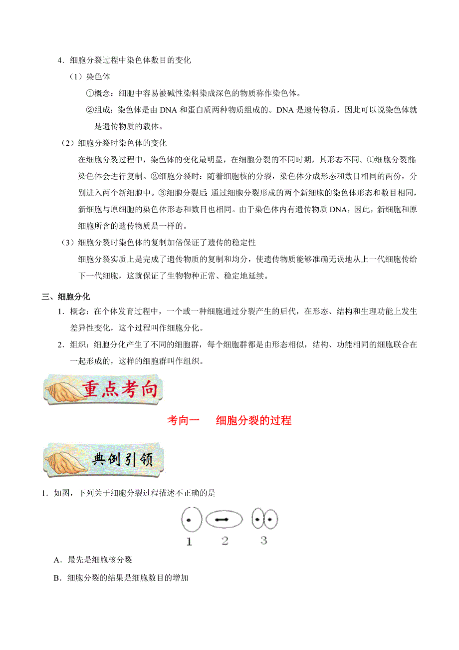 初中生物中考复习 考点07 细胞的生长、分裂与分化-备战2019年中考生物考点一遍过_第2页