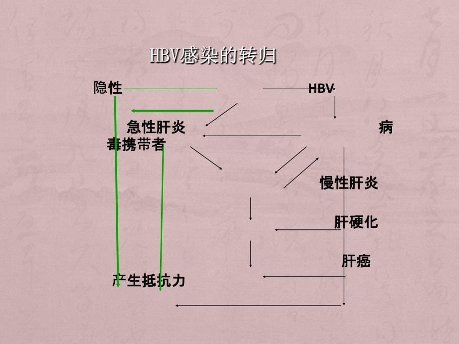 乙型肝炎阻断_第5页