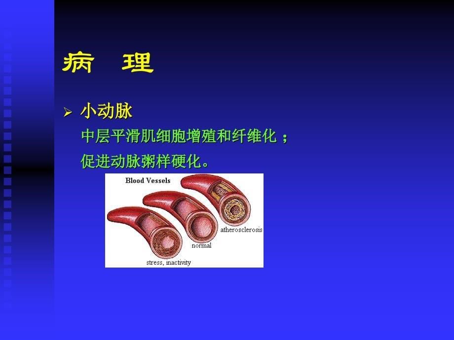 高血压学习重点课件PPT_第5页