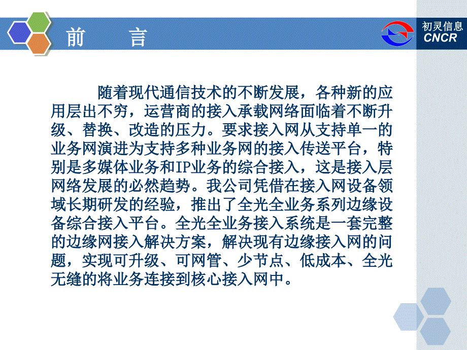 运营商集团客户专线接入方案技术说明_第2页