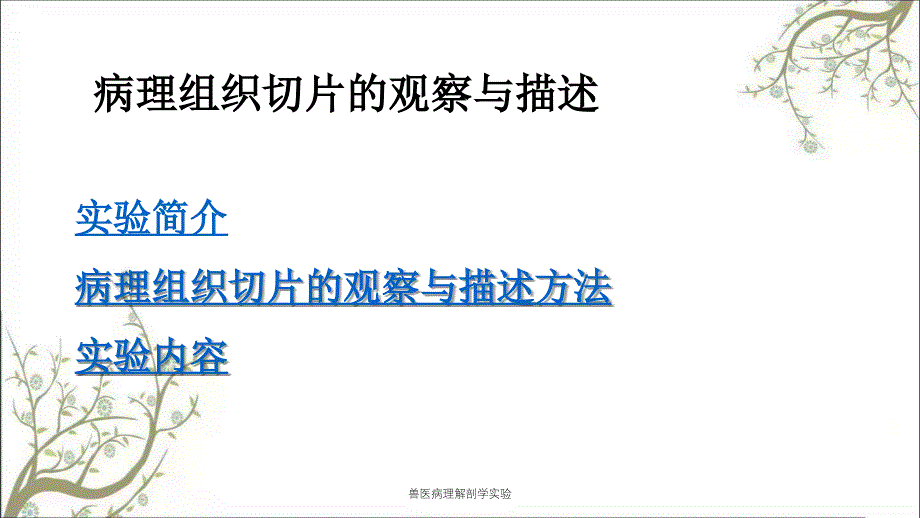 兽医病理解剖学实验_第2页