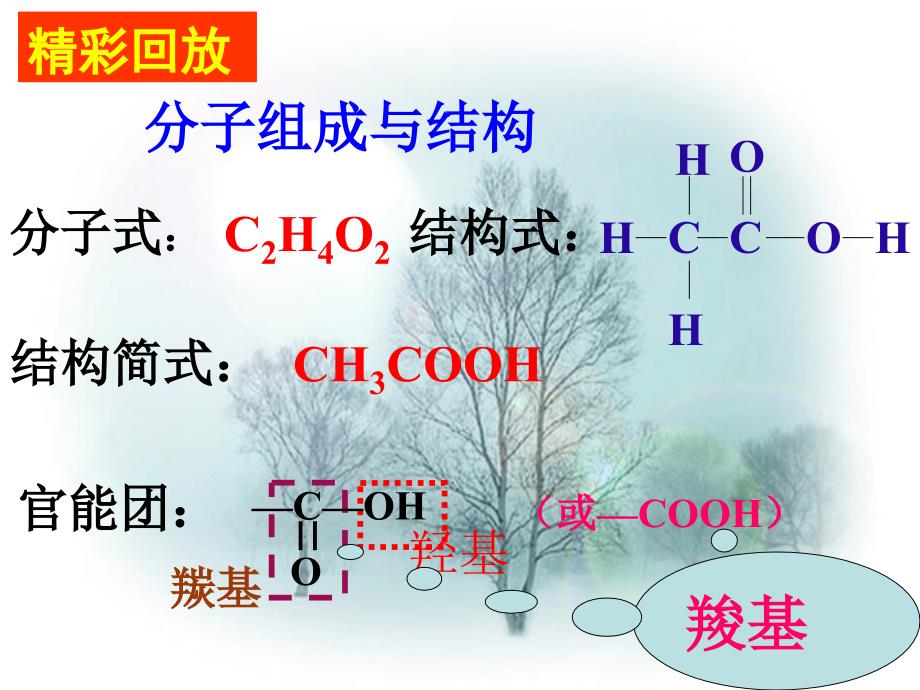 来自中生活中两种常见的有机物乙酸_第3页