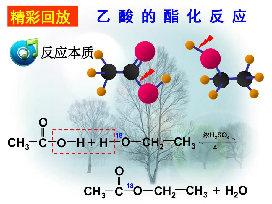 来自中生活中两种常见的有机物乙酸_第4页