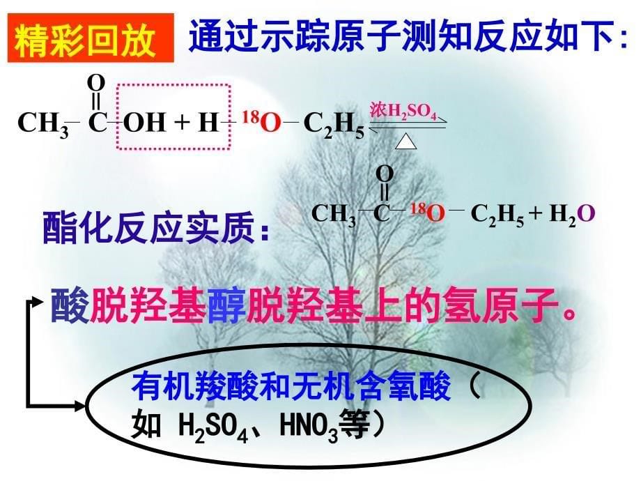 来自中生活中两种常见的有机物乙酸_第5页