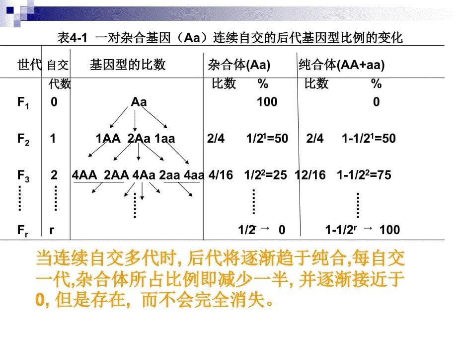 第五章近亲繁殖和_第5页