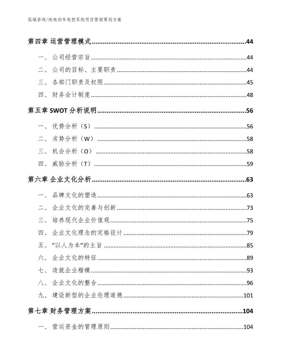 纯电动车电控系统项目营销策划方案（参考模板）_第5页