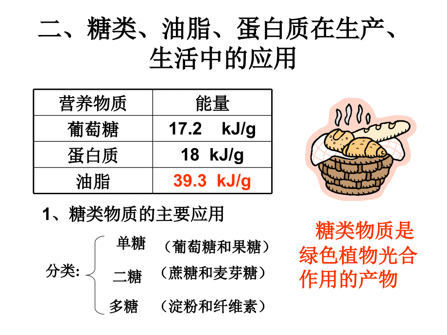 基本营养物质_第2页