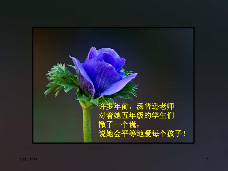 老师的启示如何当孩子生命中的贵人.ppsPPT优秀课件_第2页