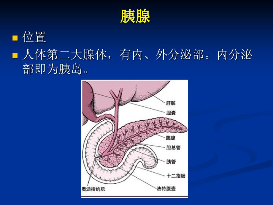 国内胰岛素的种类及用法_第2页