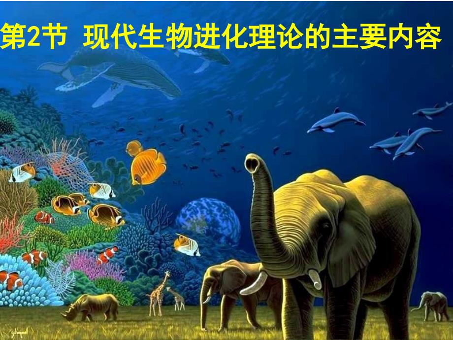 现代生物进化理论的主要内容_第1页