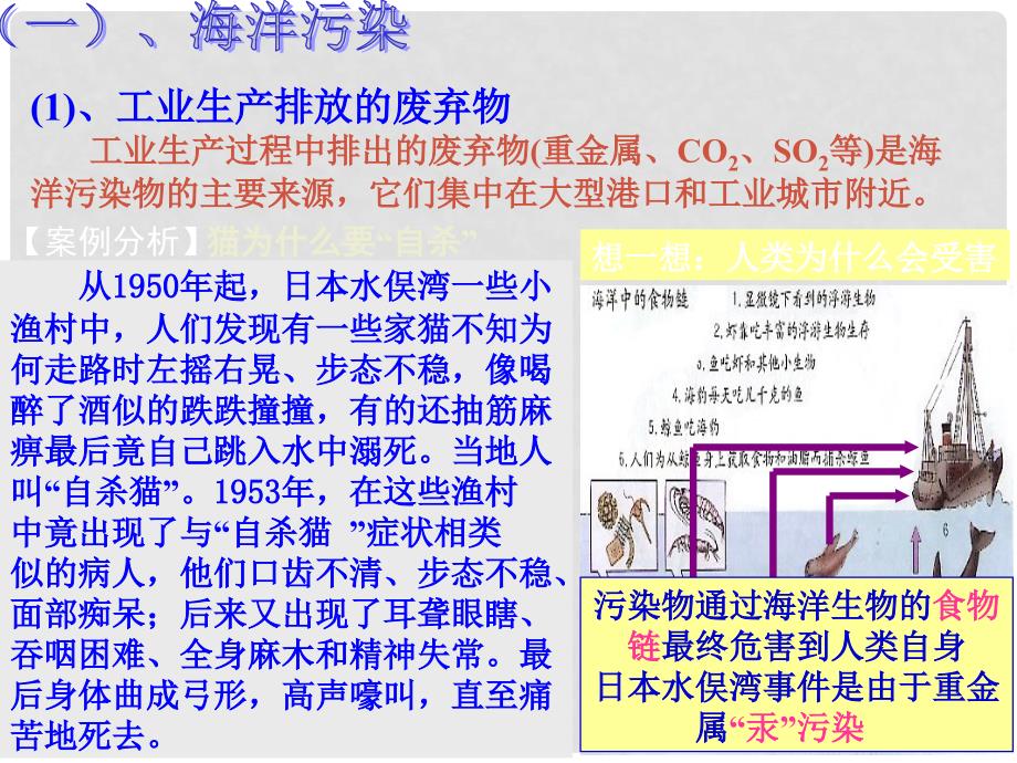 高中地理 6.2 海洋环境问题与环境保护课件1 新人教版选修2_第4页