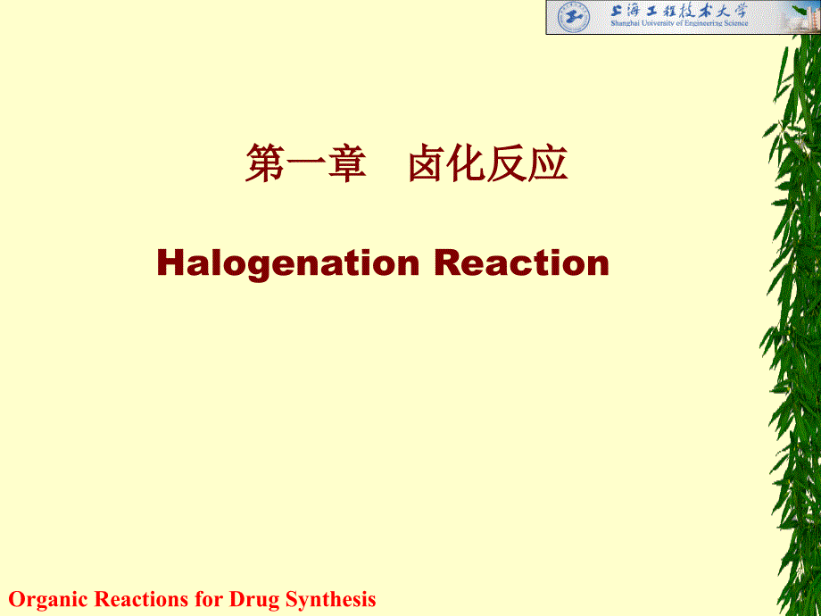 药物合成卤化反应_第1页
