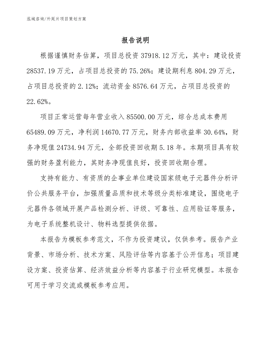 外延片项目策划方案_模板_第2页