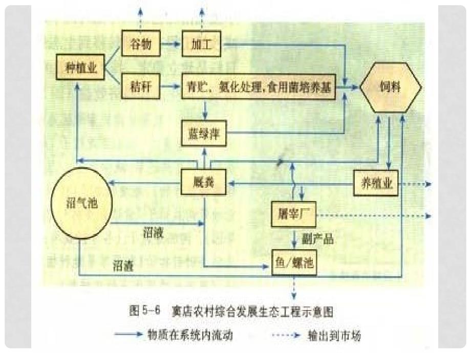 福建省寿宁县高中生物 生态工程 5.2 生态工程的实例和发展前景课件 新人教版选修3_第3页