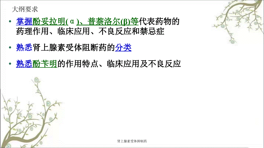 肾上腺素受体抑制药_第4页