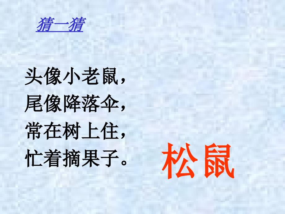 10松鼠和松果_第1页