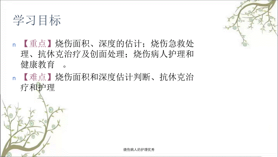 烧伤病人的护理优秀_第3页