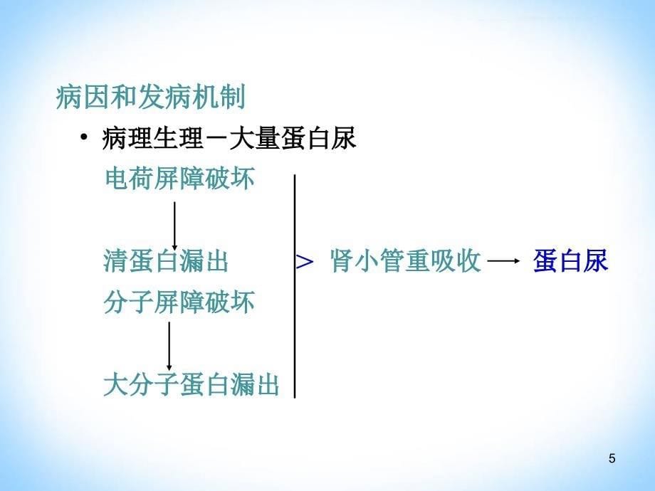 肾病综合征的护理PPT课件_第5页