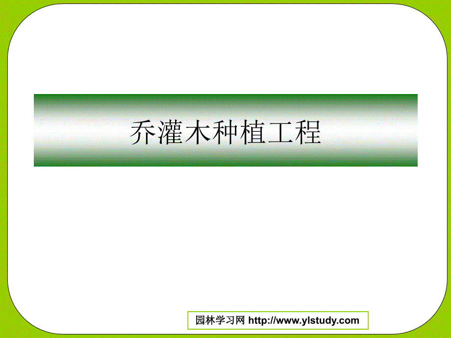 《乔灌木种植工程》PPT课件.ppt_第1页