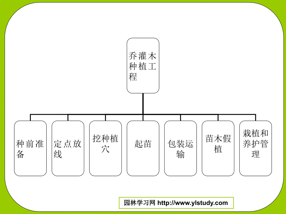 《乔灌木种植工程》PPT课件.ppt_第2页