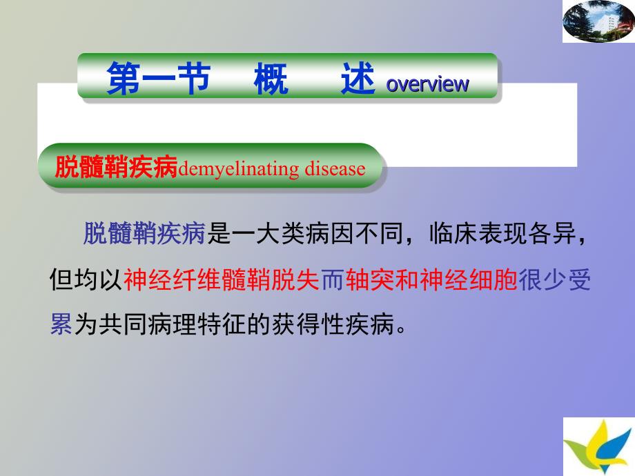 脱髓鞘病及护理_第2页