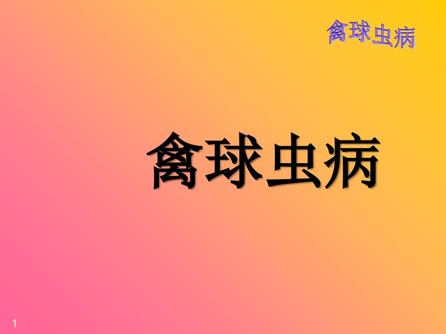 禽球虫病一站式服务_第1页