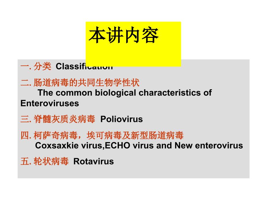 肠道病毒虫媒病毒_第2页