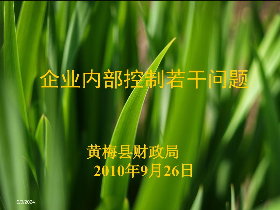 企业内控若干问题_第1页