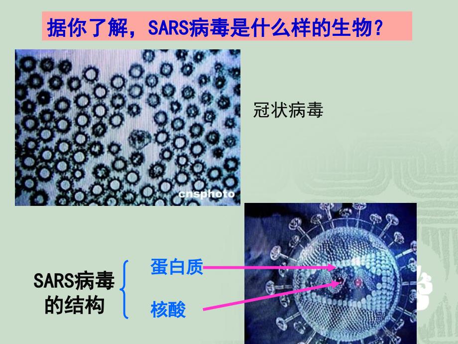 【生物】11从生物圈到细胞课件2（人教版必修1）_第3页