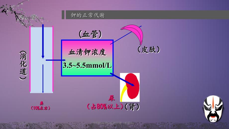 低钾和高钾血症的护理新_第3页