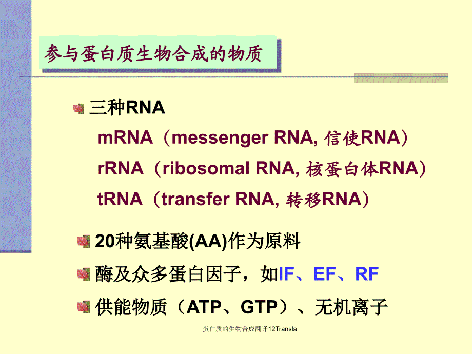 蛋白质的生物合成翻译12Transla课件_第4页