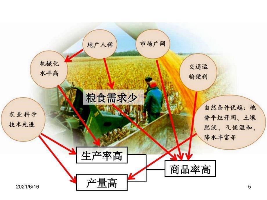 商品谷物农业_第5页