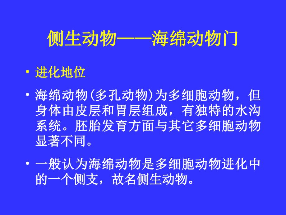 多细胞动物的胚胎发育课件_第2页