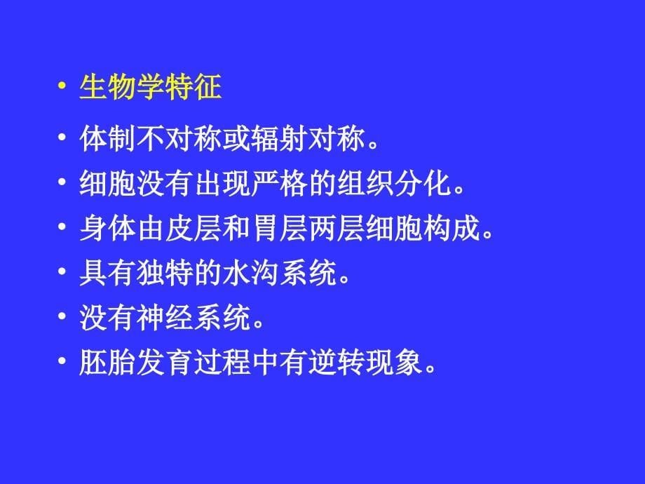 多细胞动物的胚胎发育课件_第5页