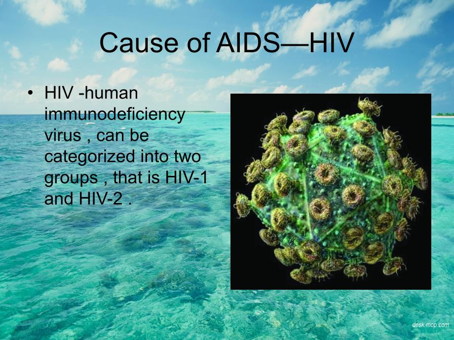 AIDS课件——双语教学_第3页