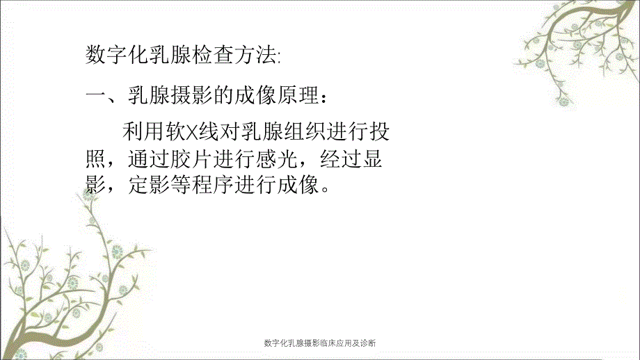 数字化乳腺摄影临床应用及诊断_第2页