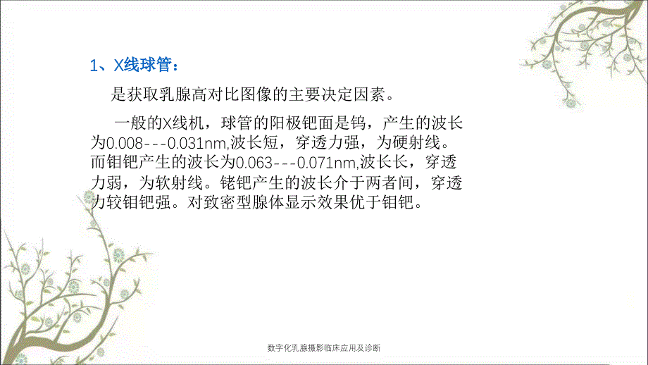 数字化乳腺摄影临床应用及诊断_第4页