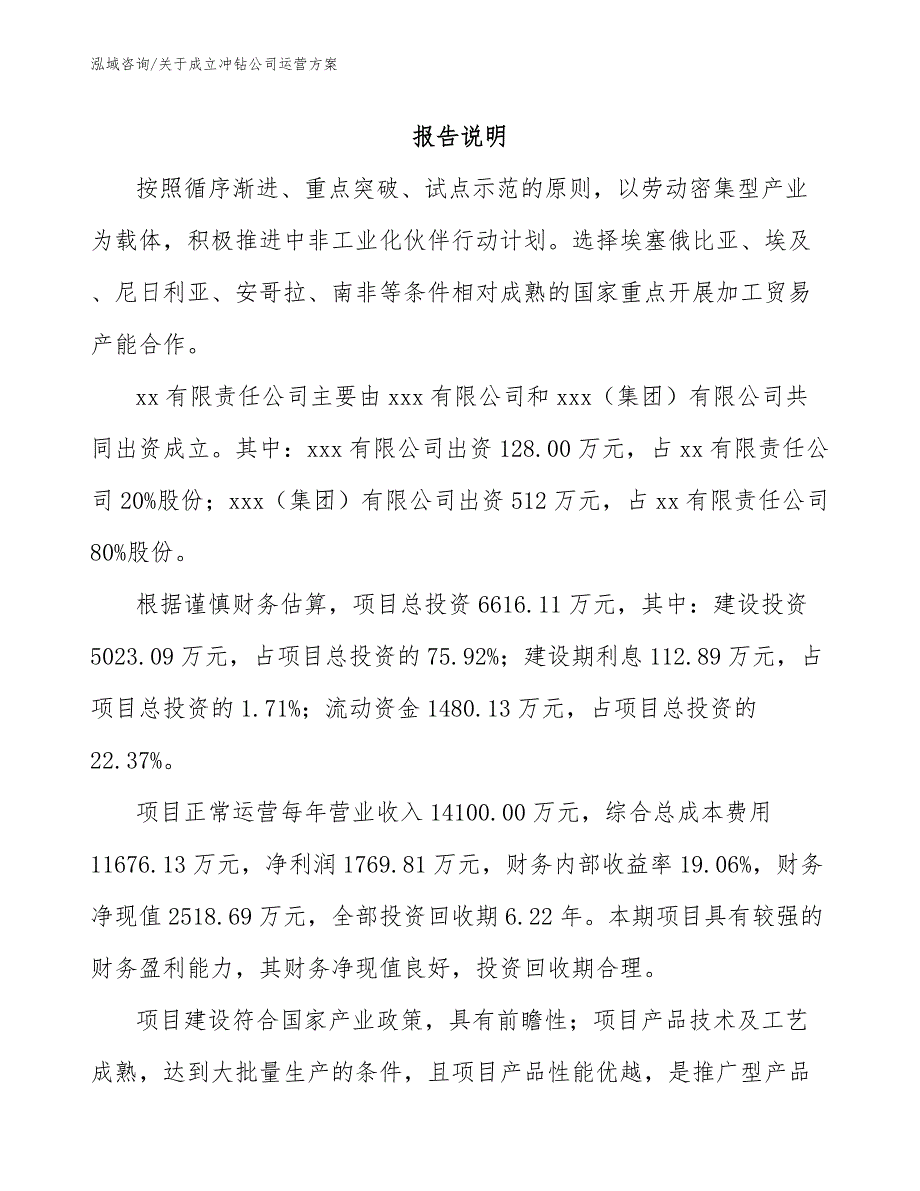 关于成立冲钻公司运营方案（模板范文）_第2页