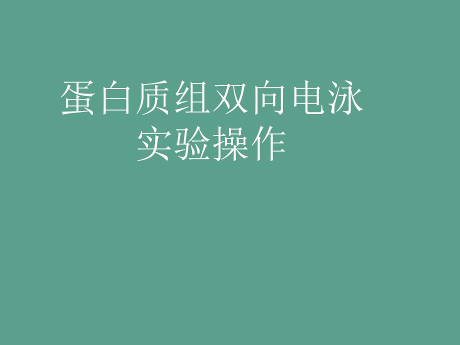 双向电泳原理及实验步骤ppt课件_第1页