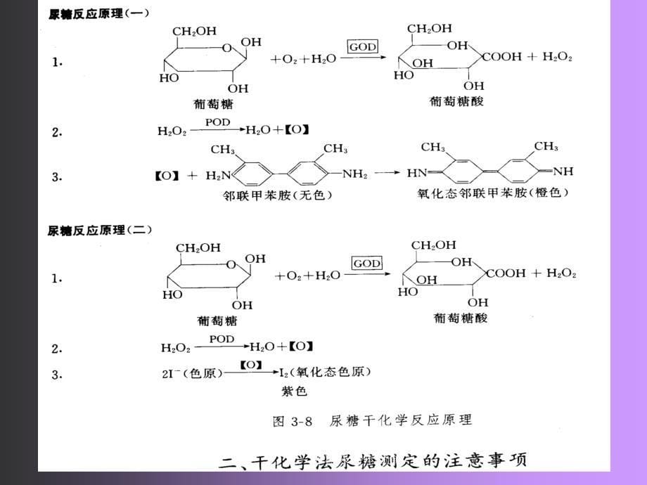 尿糖尿酮体检查课件_第5页